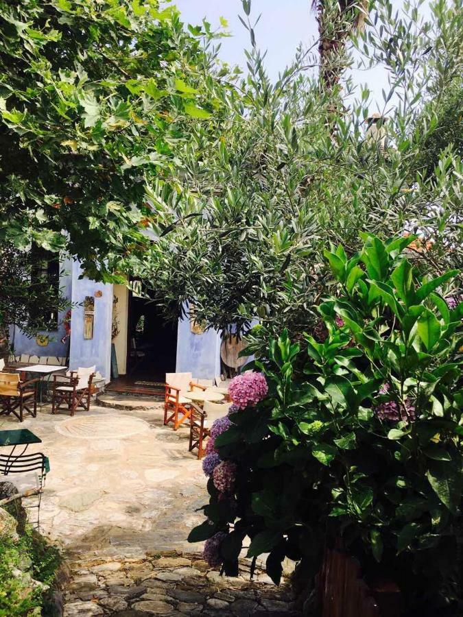 Damouchari Hotel מראה חיצוני תמונה